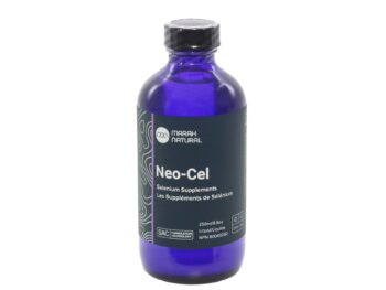 네오셀NEO-CELL